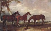 unknow artist Some Horses oil painting on canvas